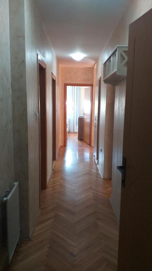 Apartman Anja Νόβι Σαντ Εξωτερικό φωτογραφία